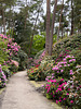 Rhododendronpark Gristede