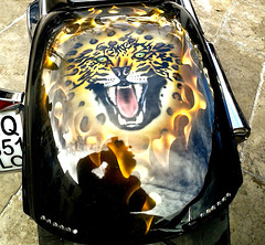 Le regard du jaguar