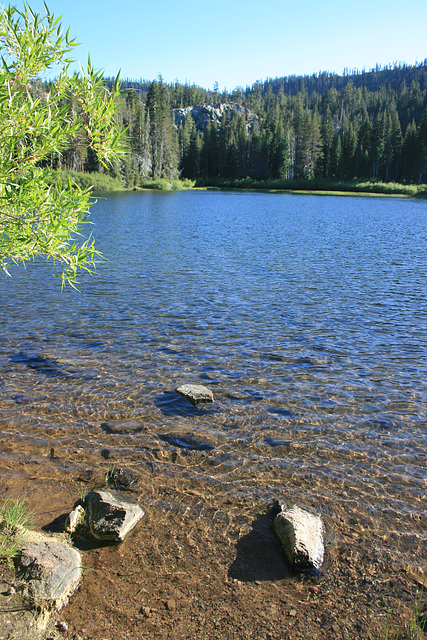 Packer Lake
