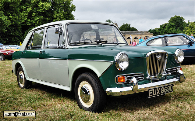 1966 Wolseley 1100 - EUX 869D