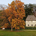 Goethes Hausgarten