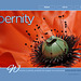 ipernity homepage with #1448