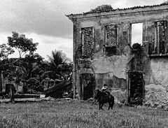 Young boy, old horse and ruins.