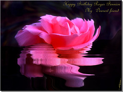 Happy Birthday my dear Roger