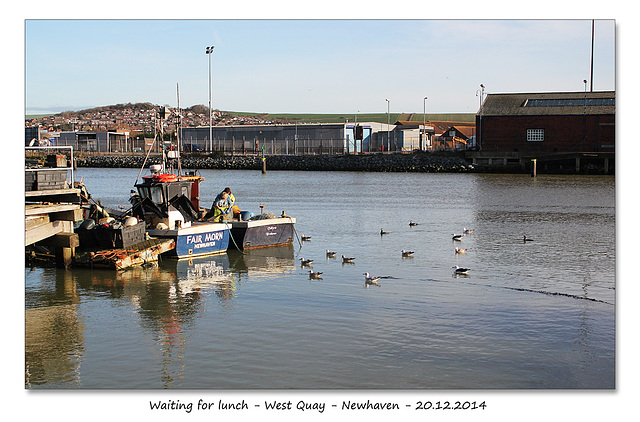 Waiting for lunch - Newhaven - 20.12.2014
