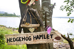 Hedgehog Hamlet