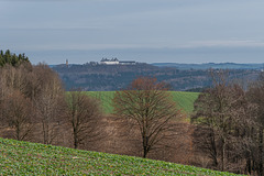 Blick vom Chemnitzer Adelsberg zur Augustusburg