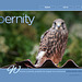 ipernity homepage with #1451