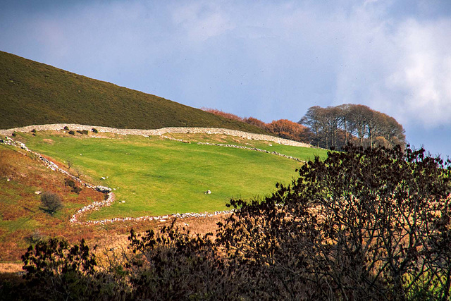 Welsh landscape.56jpg