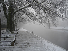 Frosty River Ouse at York