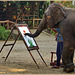 ... l'éléphant peintre...!!