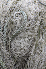 A tangled weave