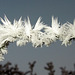 Frosty spikes