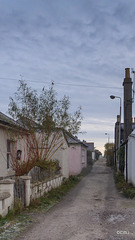 One of the many small lanes separating the numerous small cottages which form part of Findhorn village.