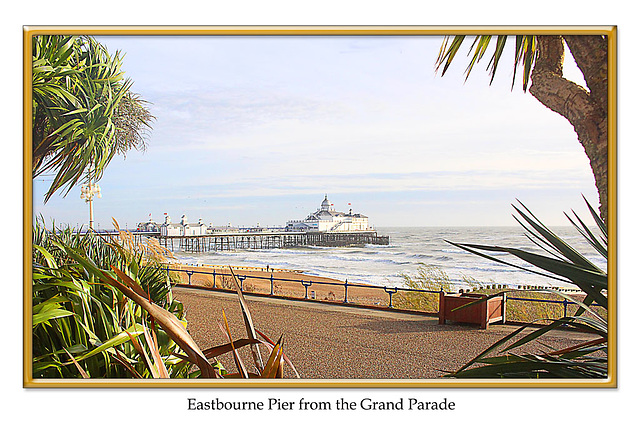 Eastbourne Pier from the Grand Parade - 30.12.2015