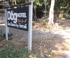 Hôtel pour chiens / Dog hotel