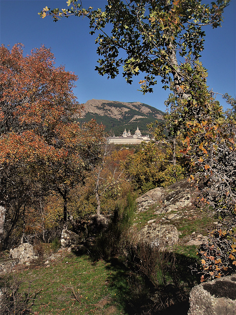 San Lorenzo de El Escorial from the Bosque de La Herrería.