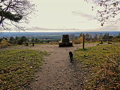 Trig Point and benches at the top of Crooksbury Hill