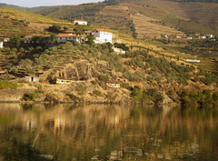 Train passing along Douro riverside.