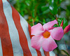 Flag an flower