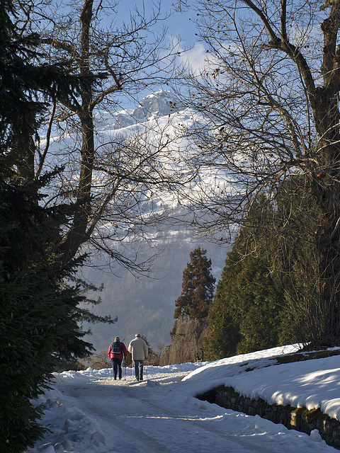 Magic atmospheres of winter in the Burcina Park, Biella