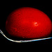 The 50-Images-Project ( 17/50 ): Careful with this Egg, Eugene