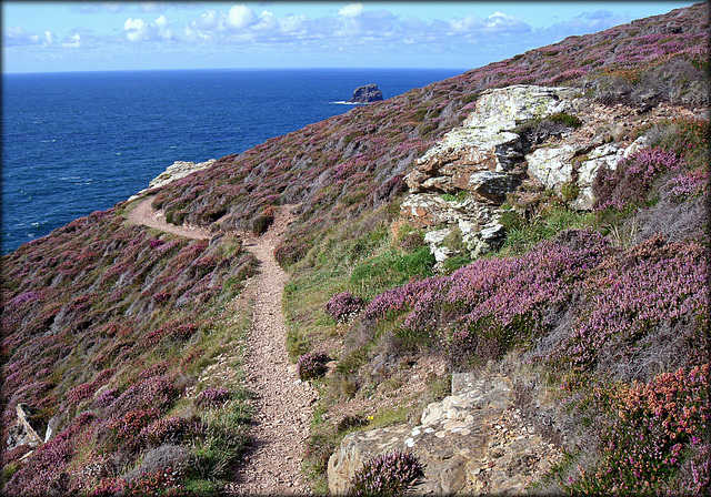 Southwest Peninsula Coast Path, St Agnes' Head