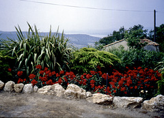 Gassin, hoch über der Côte d'Azur  (Diascan)