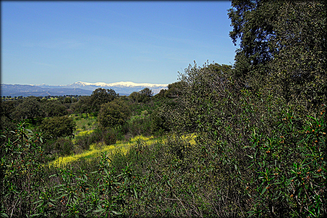 Sierra de Guadarrama from El Pardo