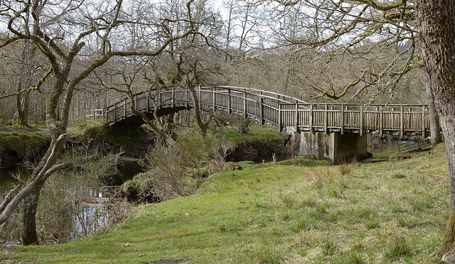 Footbridge over The River Forth
