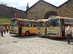 DSCF0736 Preserved Yelloway coaches at Bury Transport Museum - 5 Jul 2015