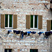 Urbino 2017 – Laundry