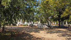 Cimetière de moines bouddhistes / Buddhist monks' graveyard
