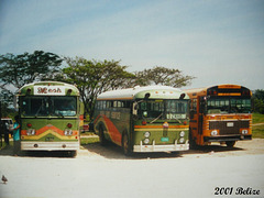 72 Buses at the San Ignacio Terminal