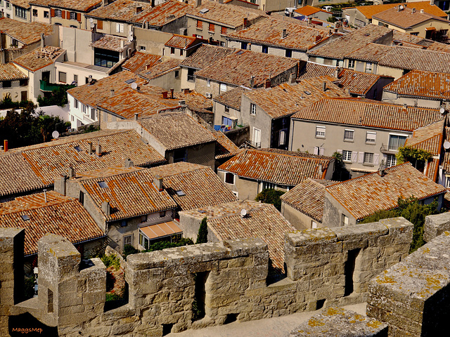 Roofs from the ramparts