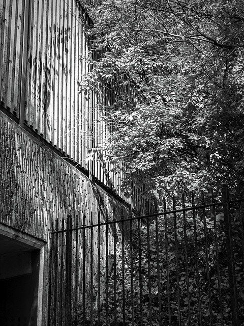 Retaining wall and fences in B&W