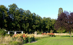 Dahliengarten
