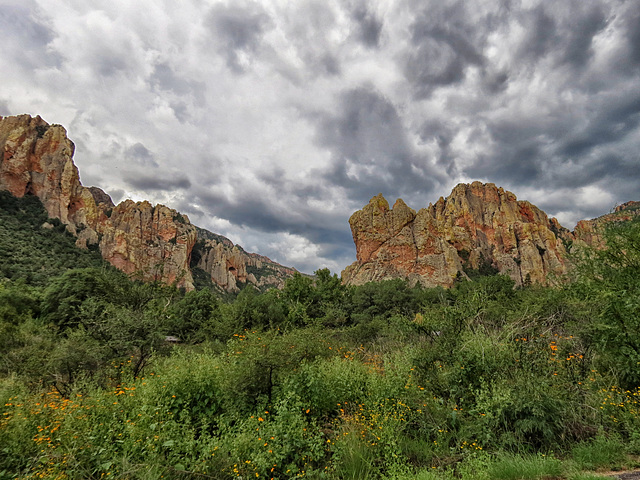 South Fork Of Cave Creek Canyon