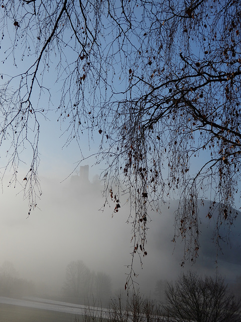 Blick in den Nebel bei Burg Neideck