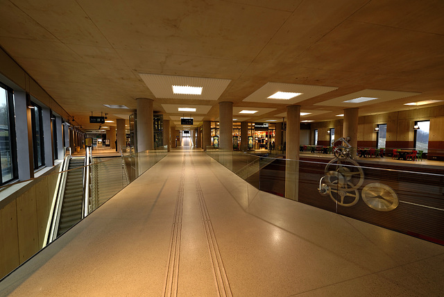 BESANCON: Gare de Besançon tgv Franche-Comté 07.
