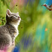 Cats and birds are not necessarily friends :-)