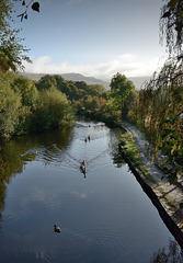 Canal view at Greenfield