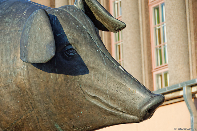 Bronze-Schwein in Tartu (© Buelipix)