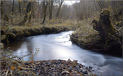 A stream in Autumn