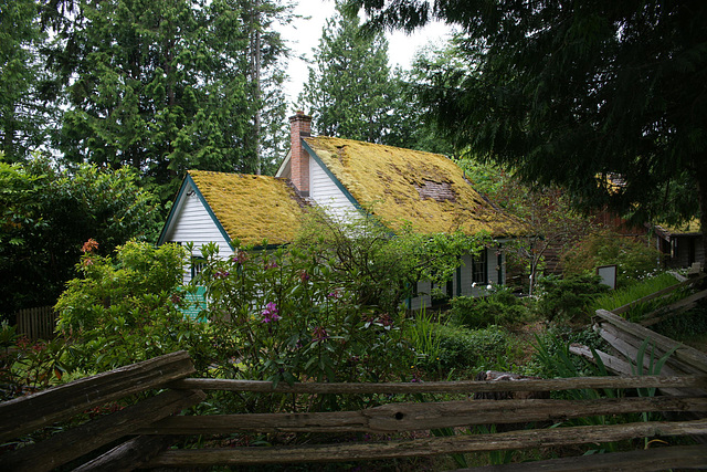Moss Covered Cottage In Sooke