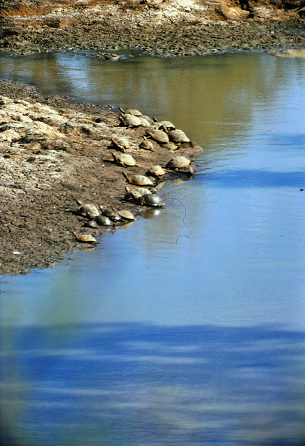 Africa - Water is essential