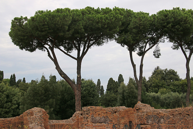The Pines of Rome