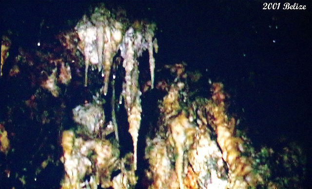 90 Part Of The Flowstone With Stalactites