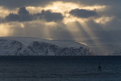 Sværholthalvøya