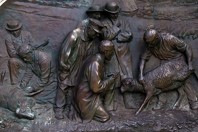 Bronze à la gloire de Pasteur .